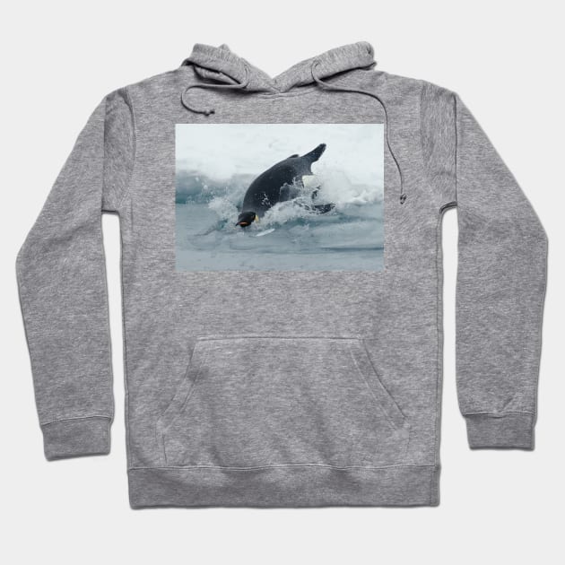 Diving Emperor Penguin Hoodie by Bravuramedia